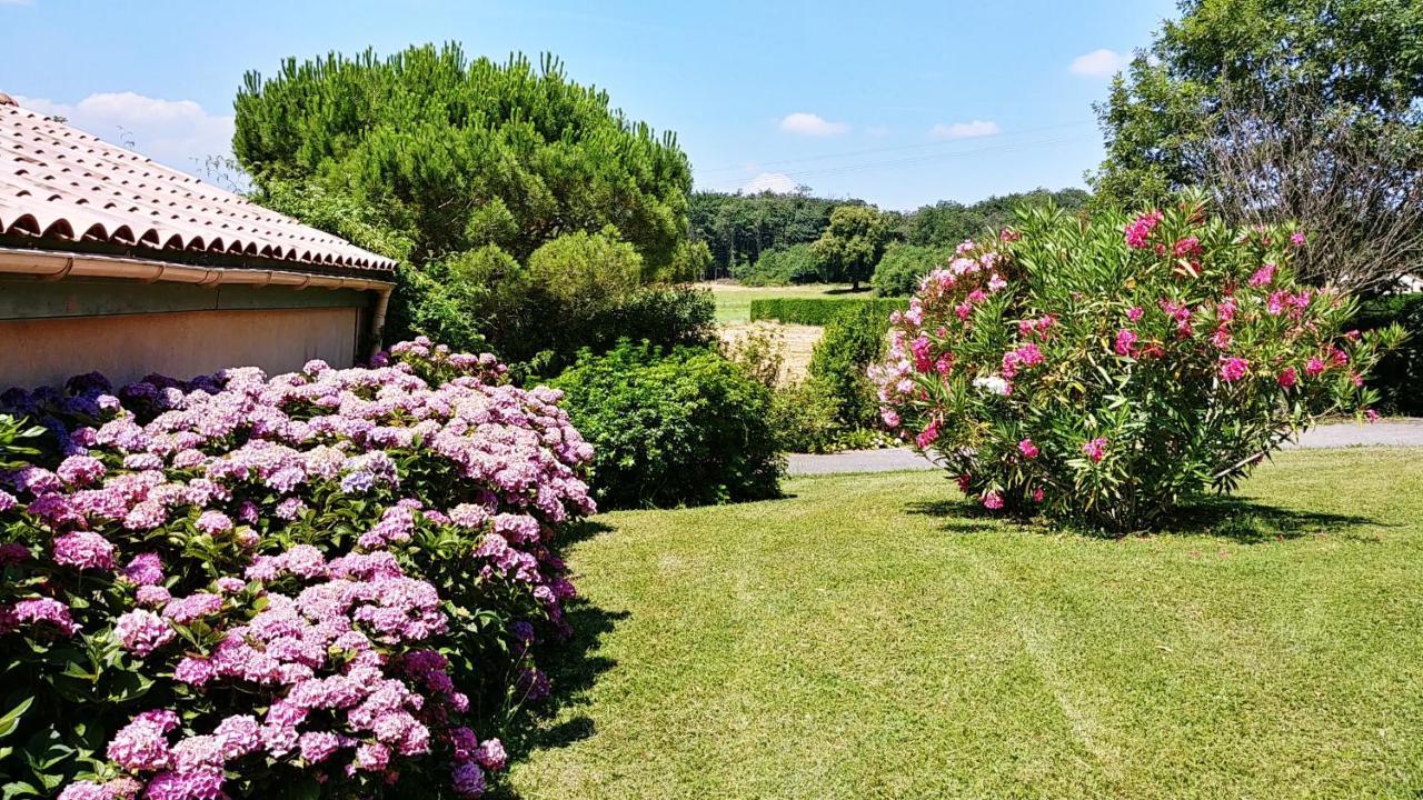 Le Prieure Villa La Motte-de-Galaure Buitenkant foto